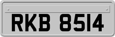 RKB8514