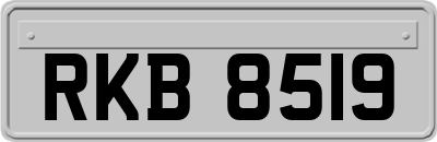 RKB8519