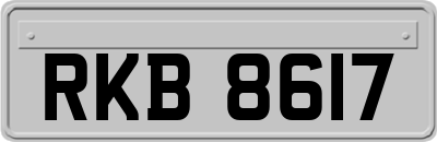 RKB8617