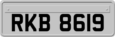 RKB8619