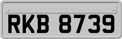 RKB8739