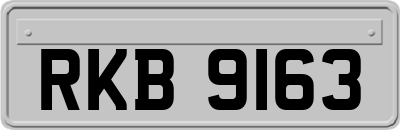 RKB9163