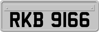 RKB9166