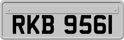 RKB9561