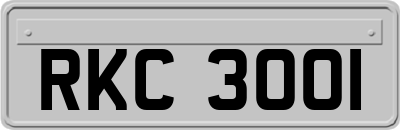 RKC3001