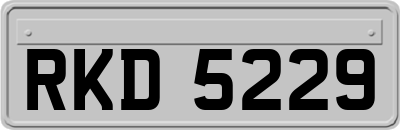 RKD5229