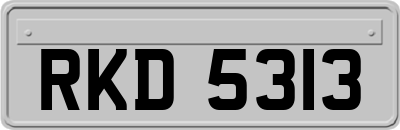 RKD5313