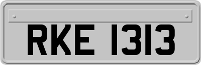RKE1313