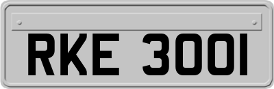 RKE3001