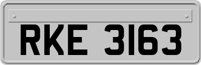 RKE3163