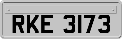 RKE3173