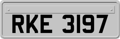 RKE3197