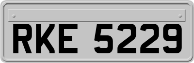 RKE5229