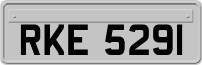 RKE5291