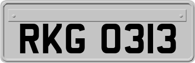 RKG0313