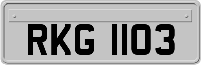 RKG1103