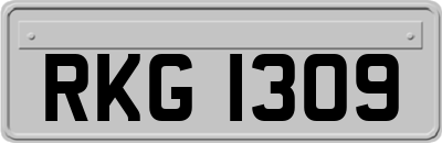 RKG1309