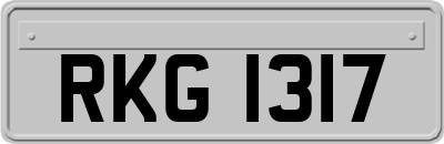 RKG1317