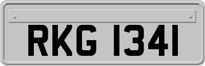 RKG1341