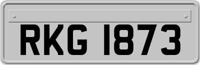 RKG1873