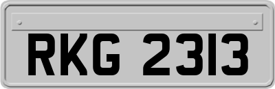 RKG2313