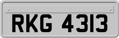 RKG4313