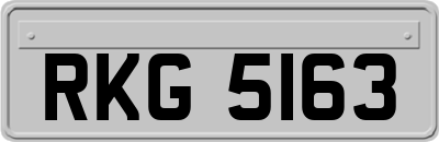 RKG5163