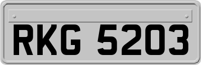 RKG5203