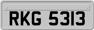 RKG5313