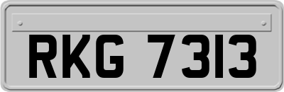 RKG7313