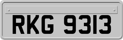 RKG9313