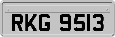 RKG9513