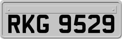 RKG9529