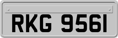 RKG9561