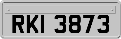 RKI3873