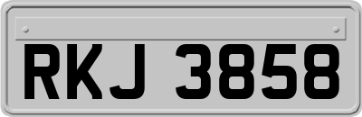 RKJ3858