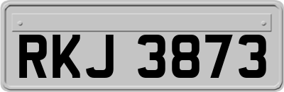 RKJ3873