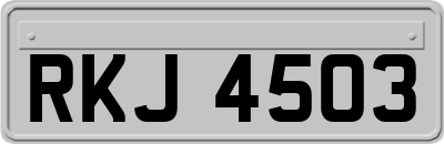 RKJ4503