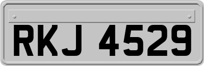 RKJ4529