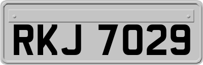 RKJ7029