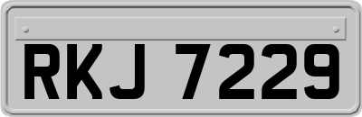 RKJ7229