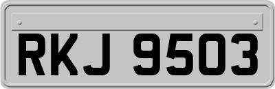 RKJ9503