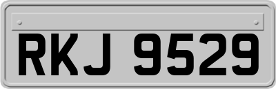 RKJ9529