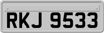 RKJ9533