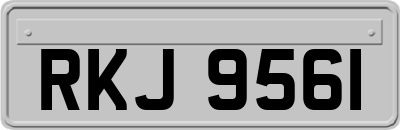 RKJ9561