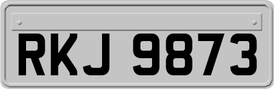 RKJ9873