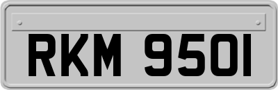 RKM9501