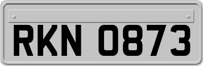 RKN0873