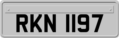 RKN1197