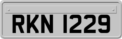 RKN1229